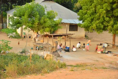 DSC_4295 (Large).JPG